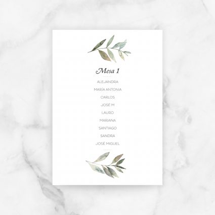 seating plan boda