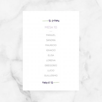 seating plan boda
