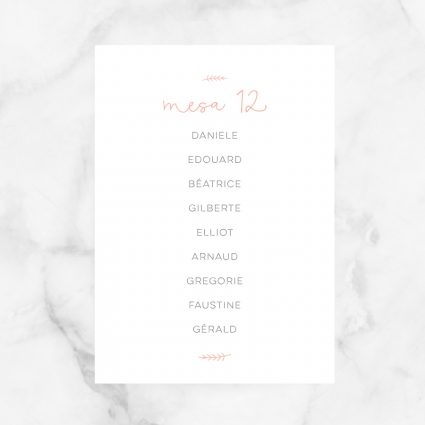 seating plan boda